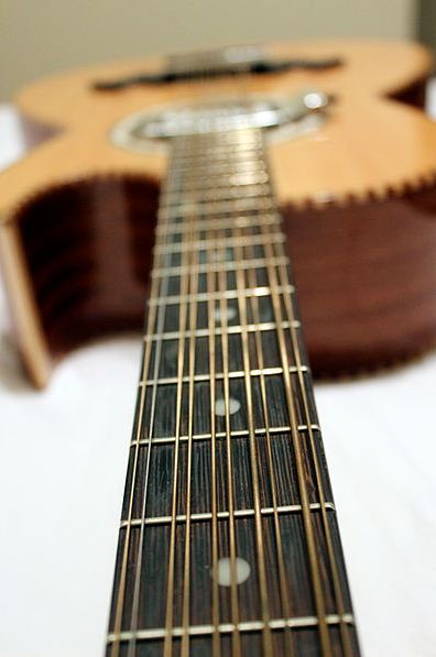 A photo of the bajo quinto showing the fretboard and its ten strings.