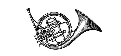 A photo of the French horn with three piston valves