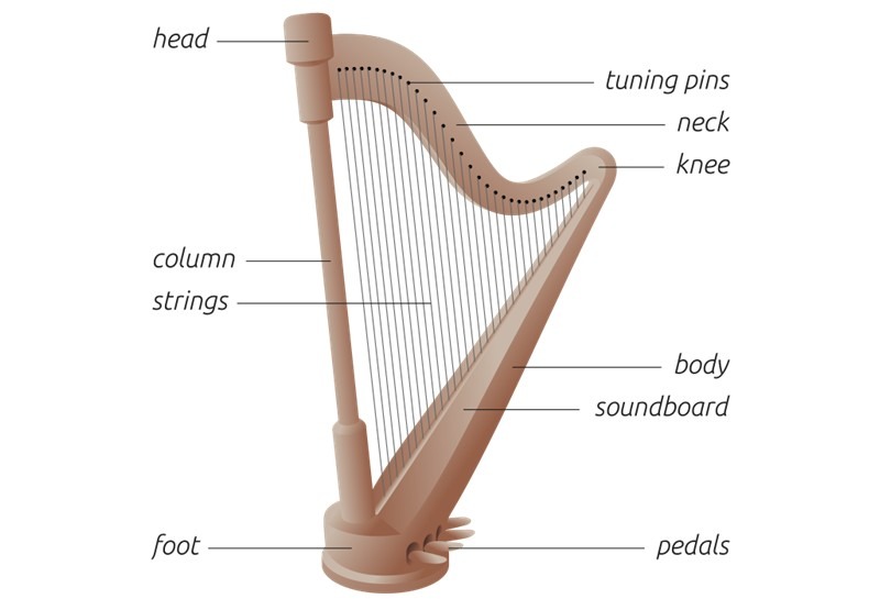 The parts of the harp
