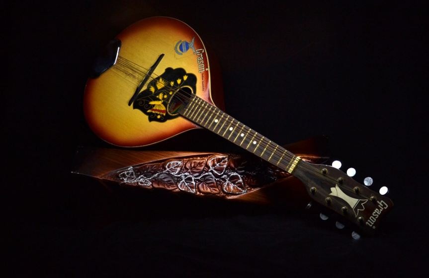 a beautiful mandolin