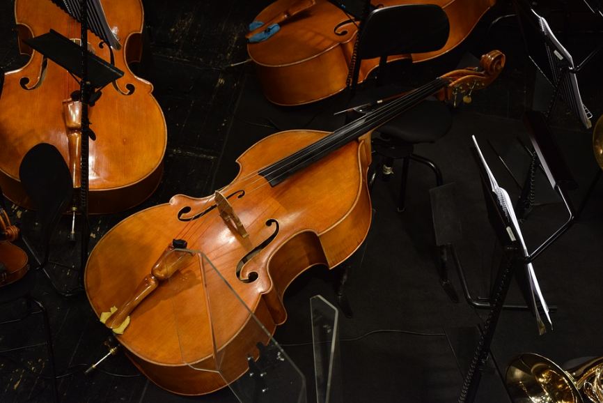 a double bass in an orchestra