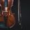 Ultimate Guide to Bowed String Instruments