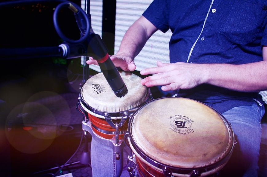 bongo drums